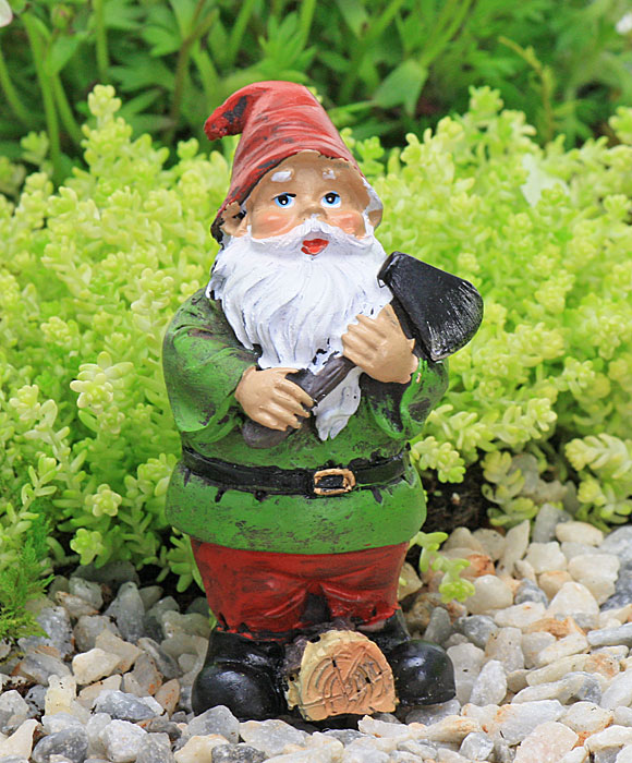 gnome foto